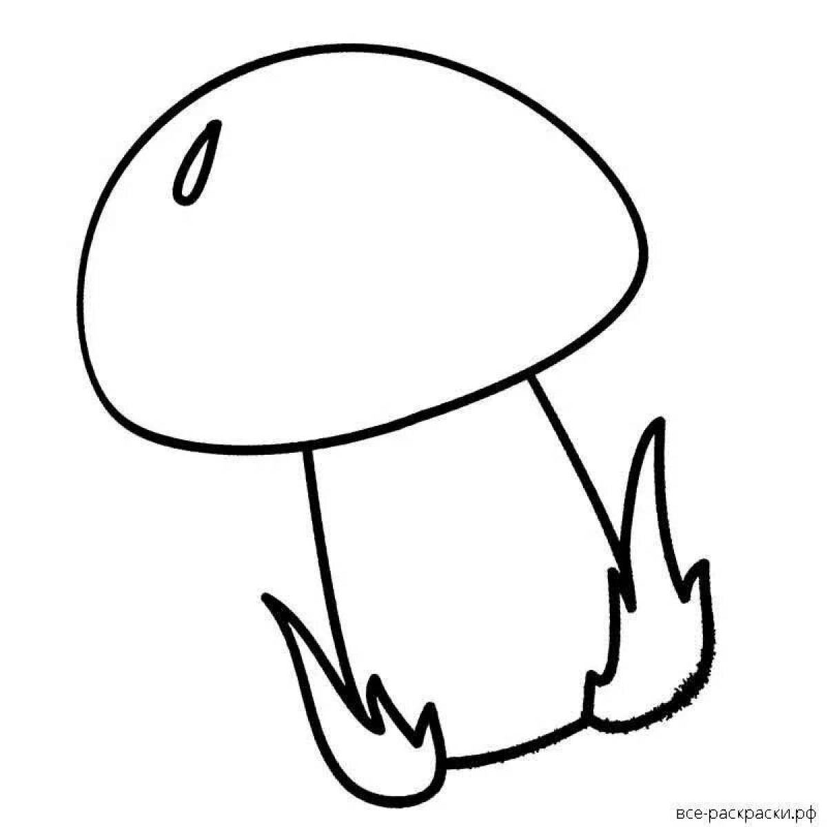 Красочная страница раскраски с белыми грибами