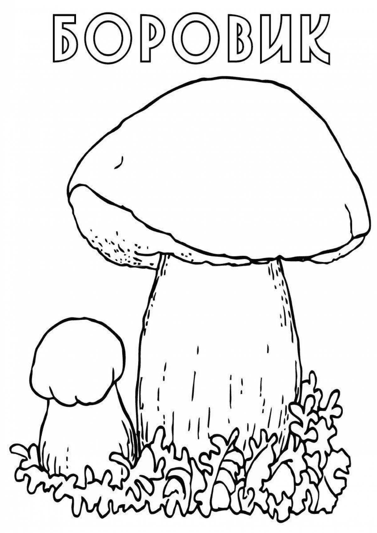 Волшебный белый гриб-раскраска
