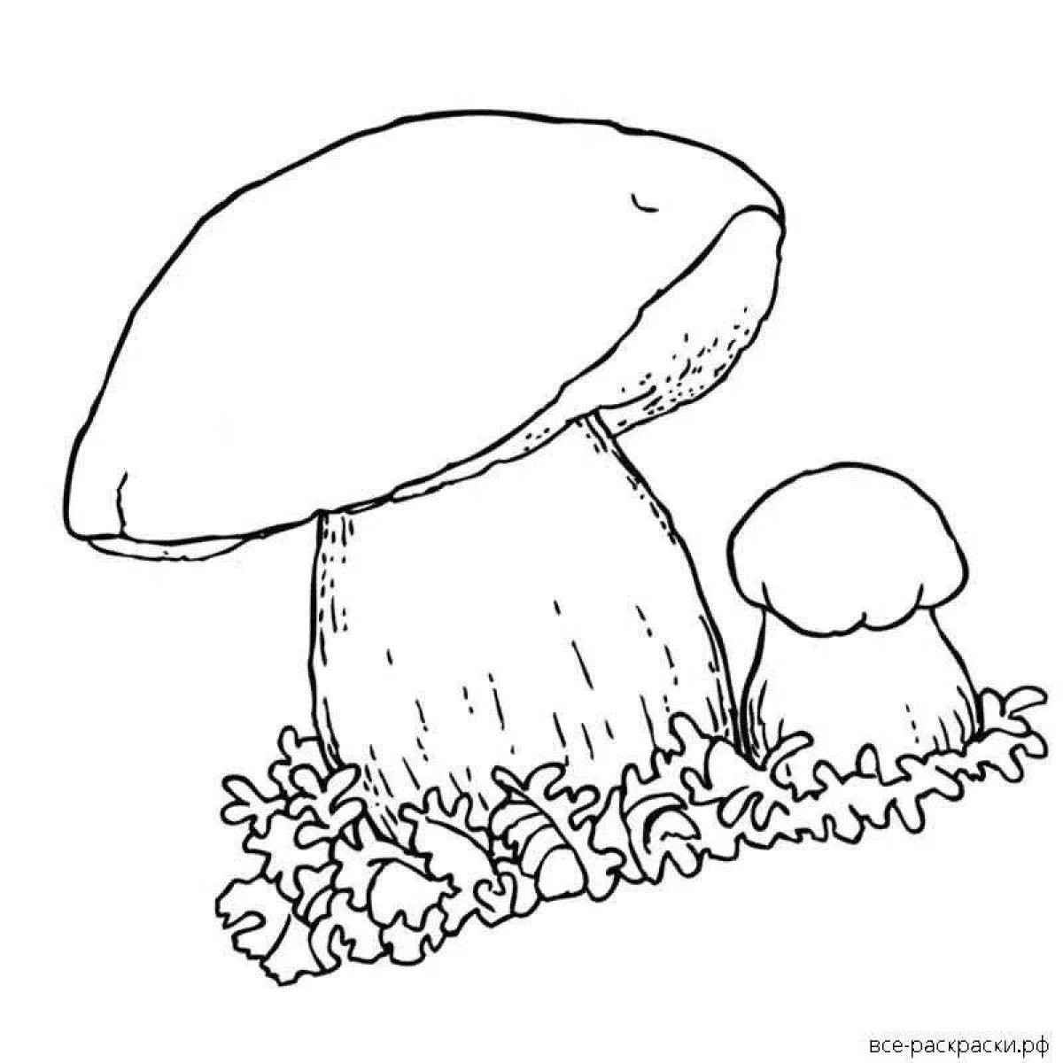 Glowing porcini mushrooms coloring page