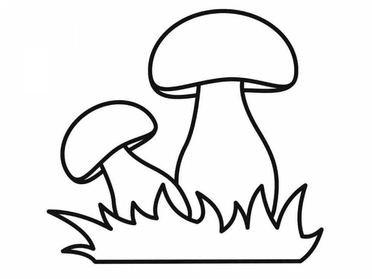 Великолепный белый гриб-раскраска