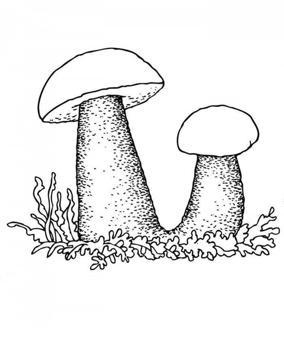Изысканная раскраска с белыми грибами