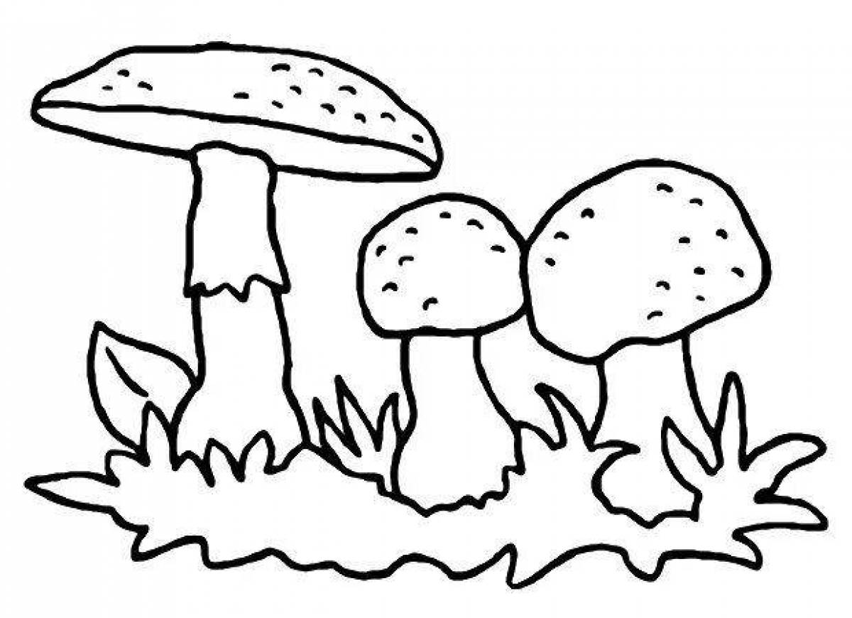 Раскраска сказочные белые грибы