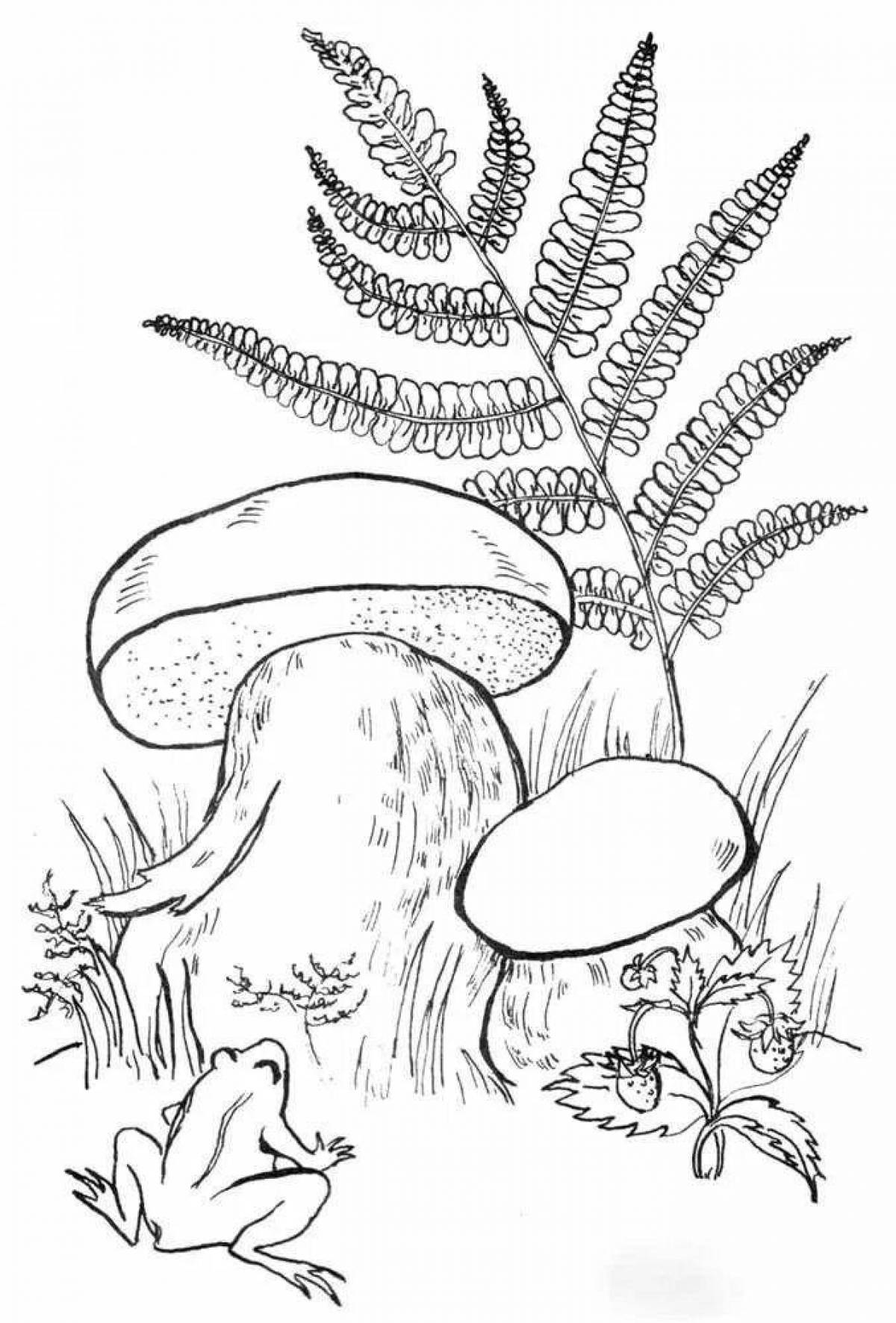 Majestic porcini mushroom coloring page
