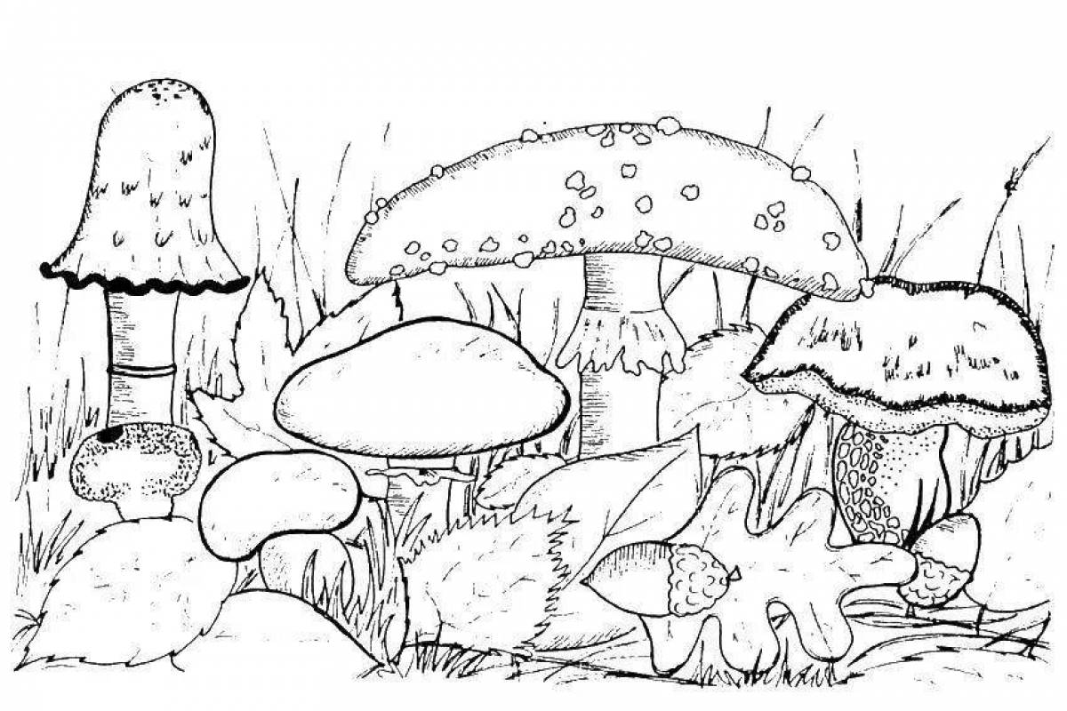 Awesome porcini mushroom coloring book
