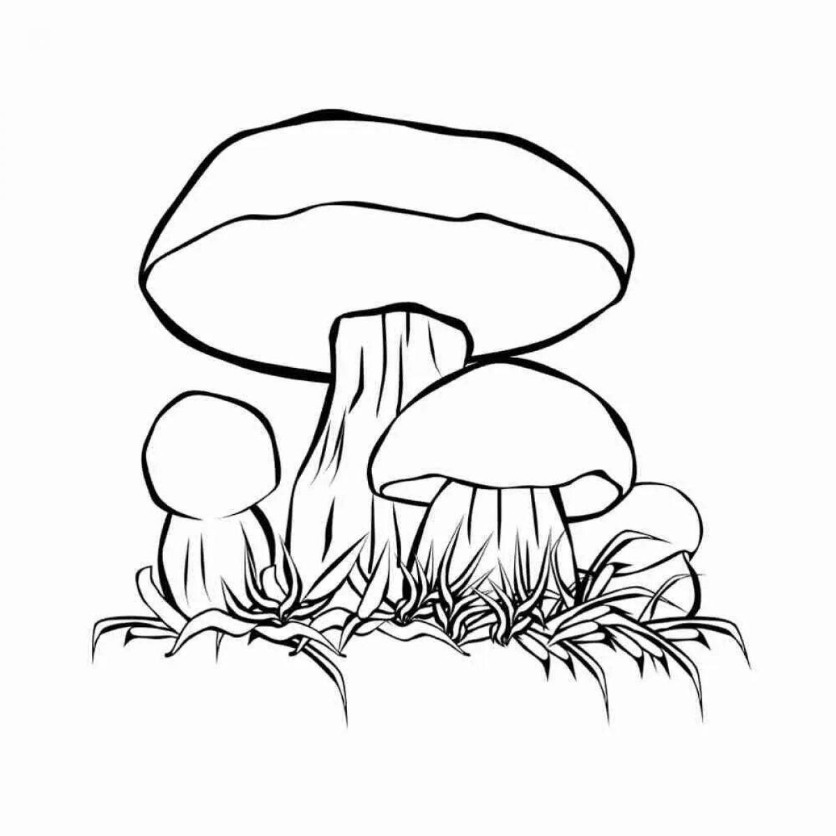 Cute porcini mushroom coloring book