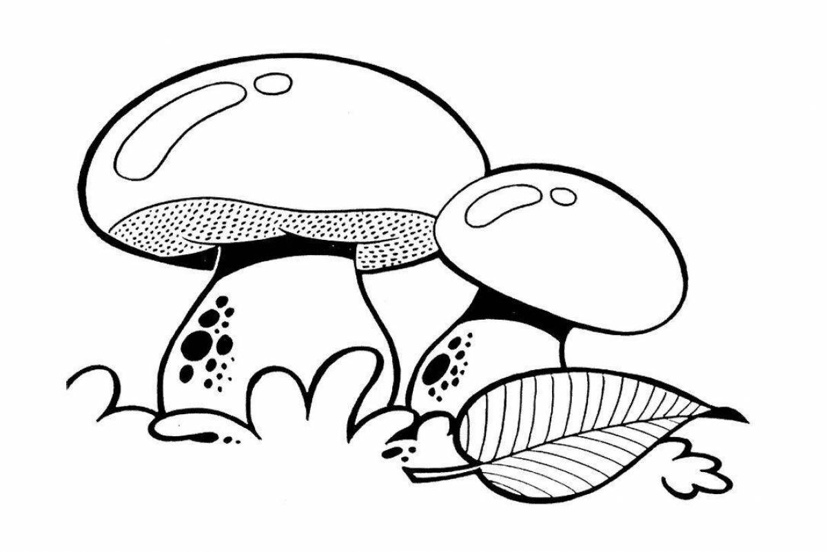 Раскраска очаровательный белый гриб