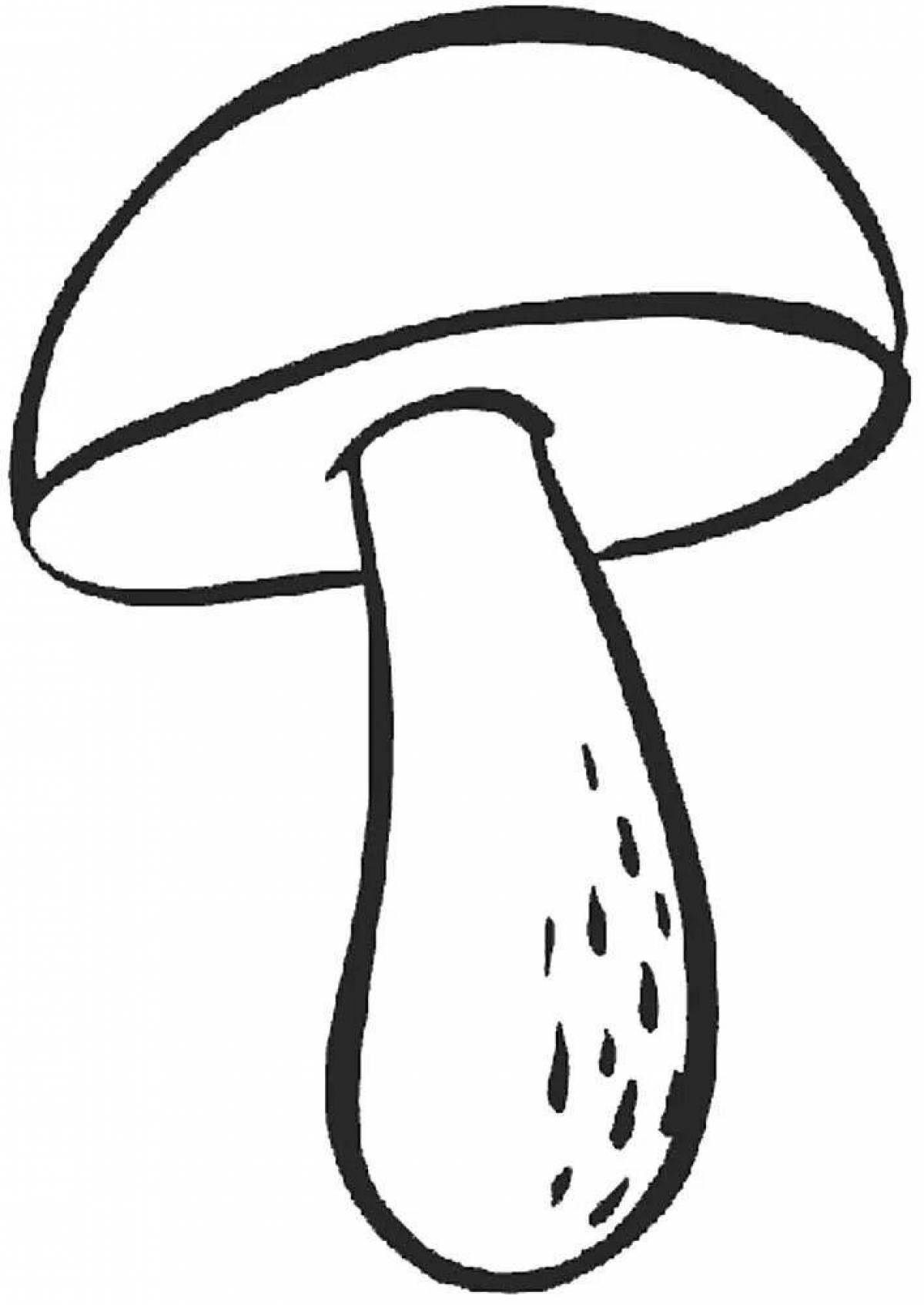 Причудливые белые грибы-раскраски