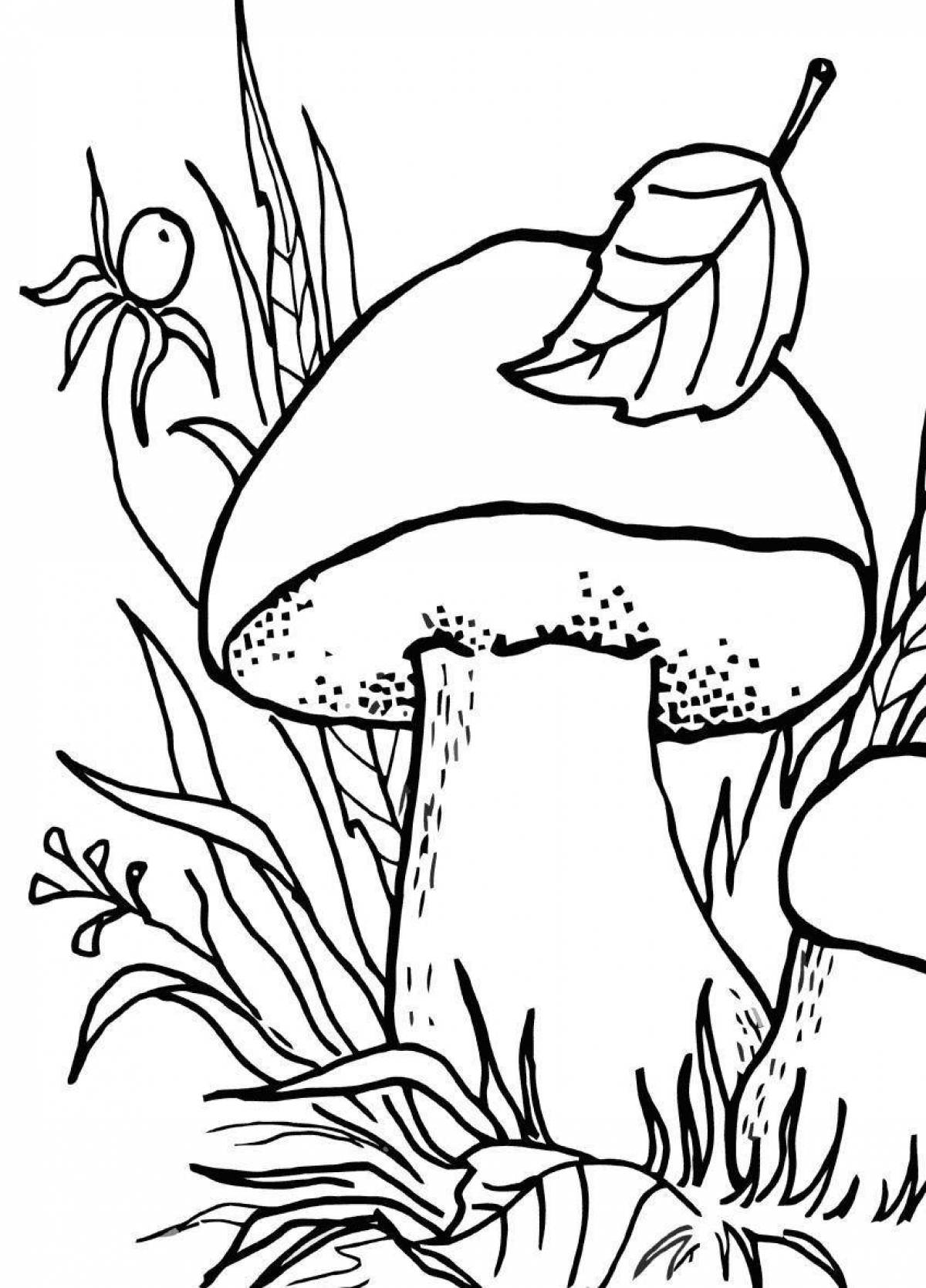 Раскраска буйный белый гриб