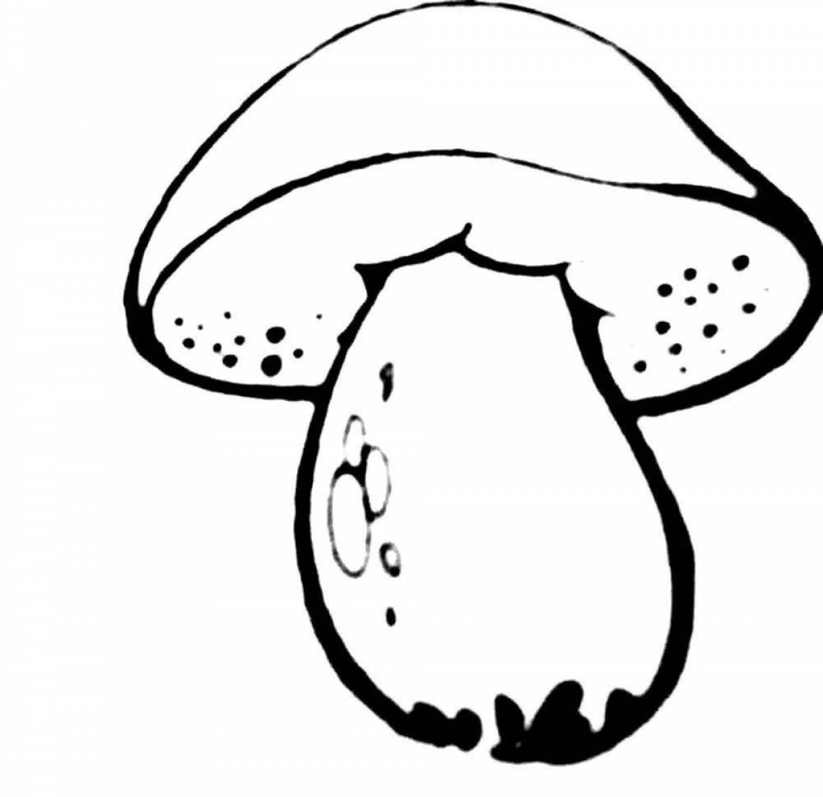 Забавная раскраска с белыми грибами