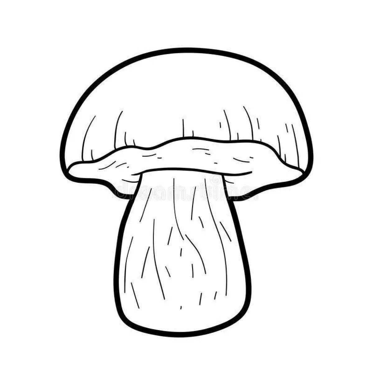 Очаровательная раскраска с белыми грибами