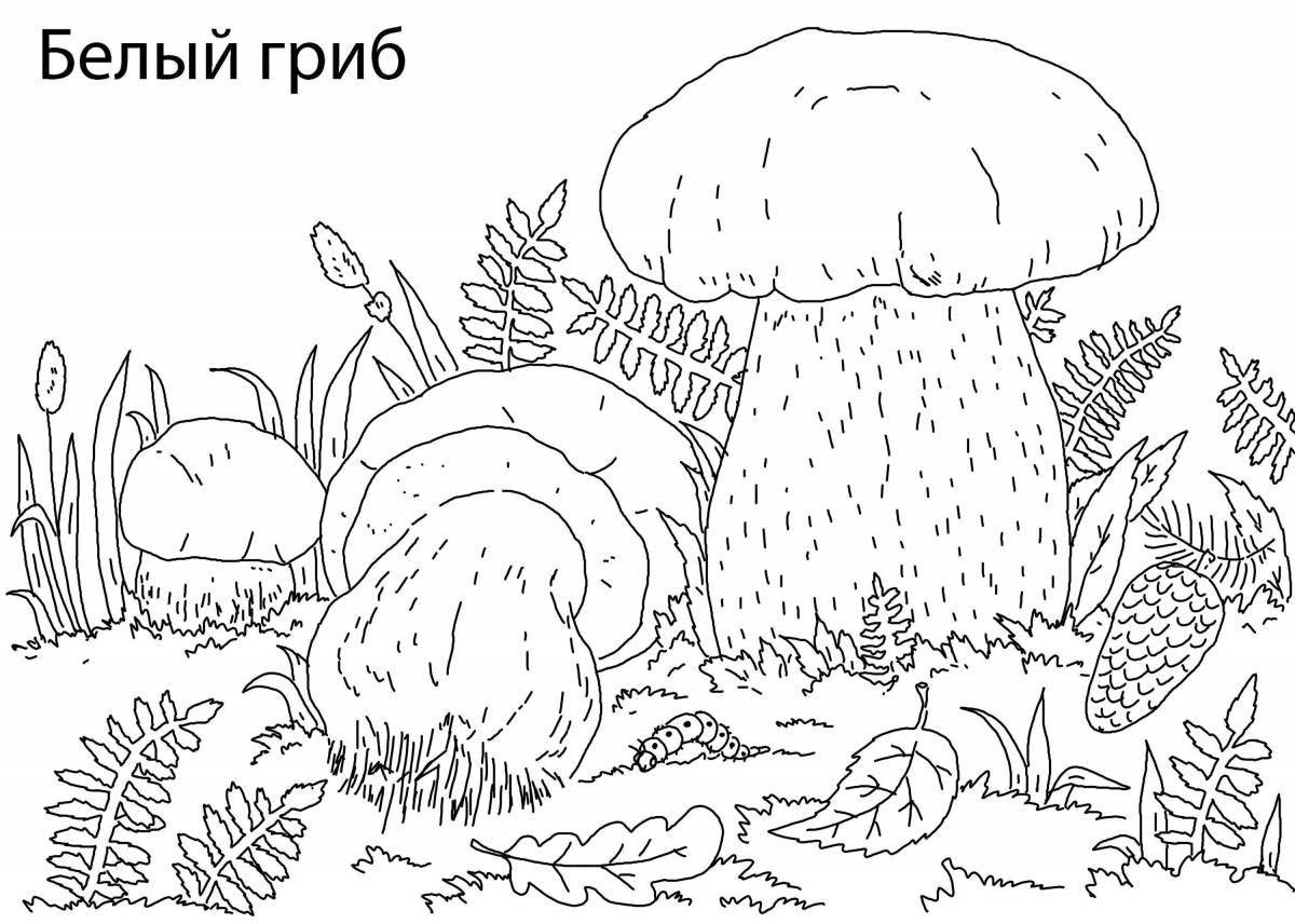 Приглашение раскраски с белыми грибами