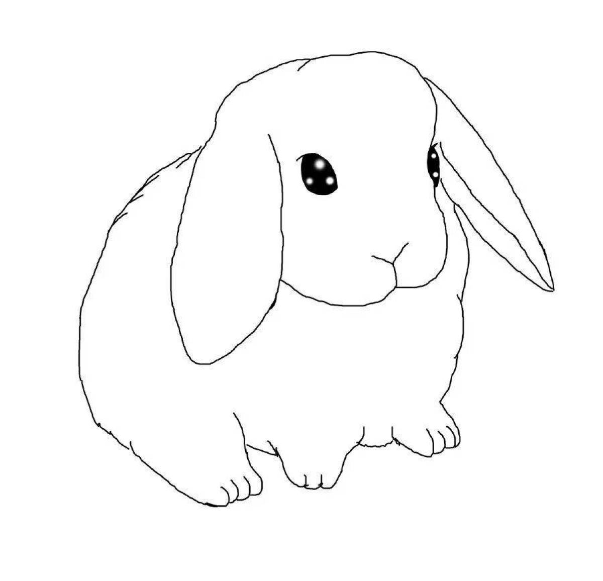 Очаровательная раскраска кролик