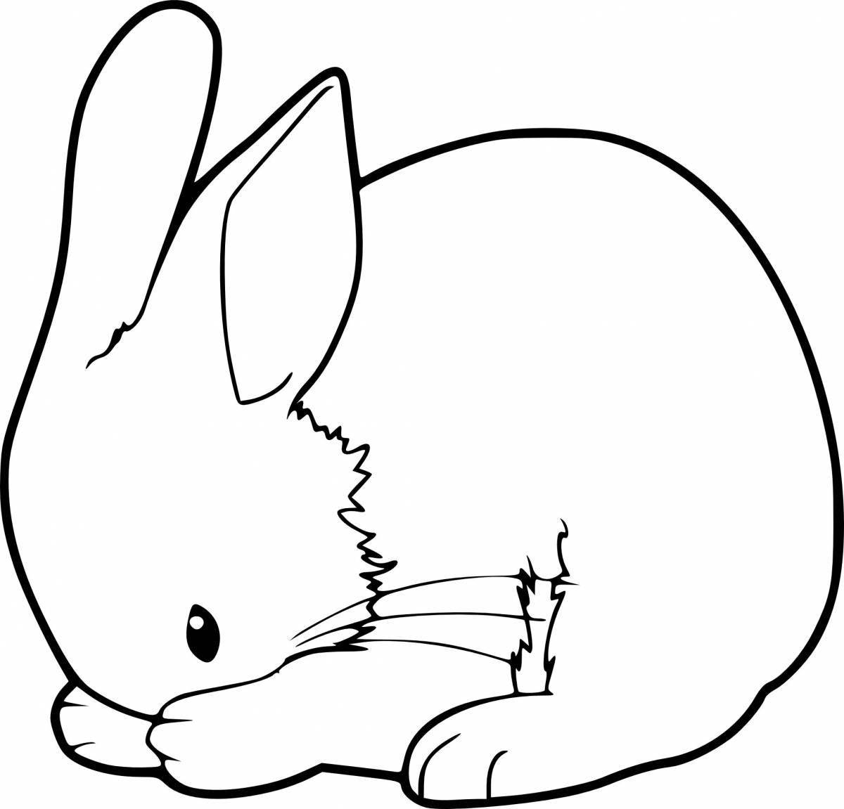 Snuggly coloring bunny