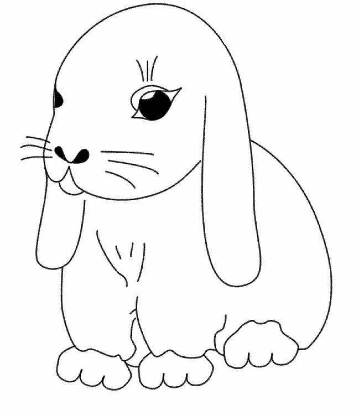 Снаг раскраска кролик