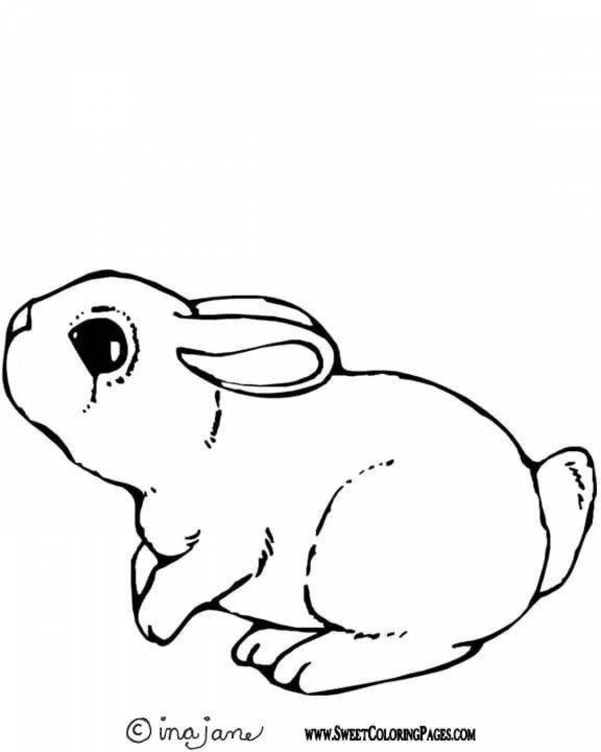 Кролик-раскраска «милый как пуговица»