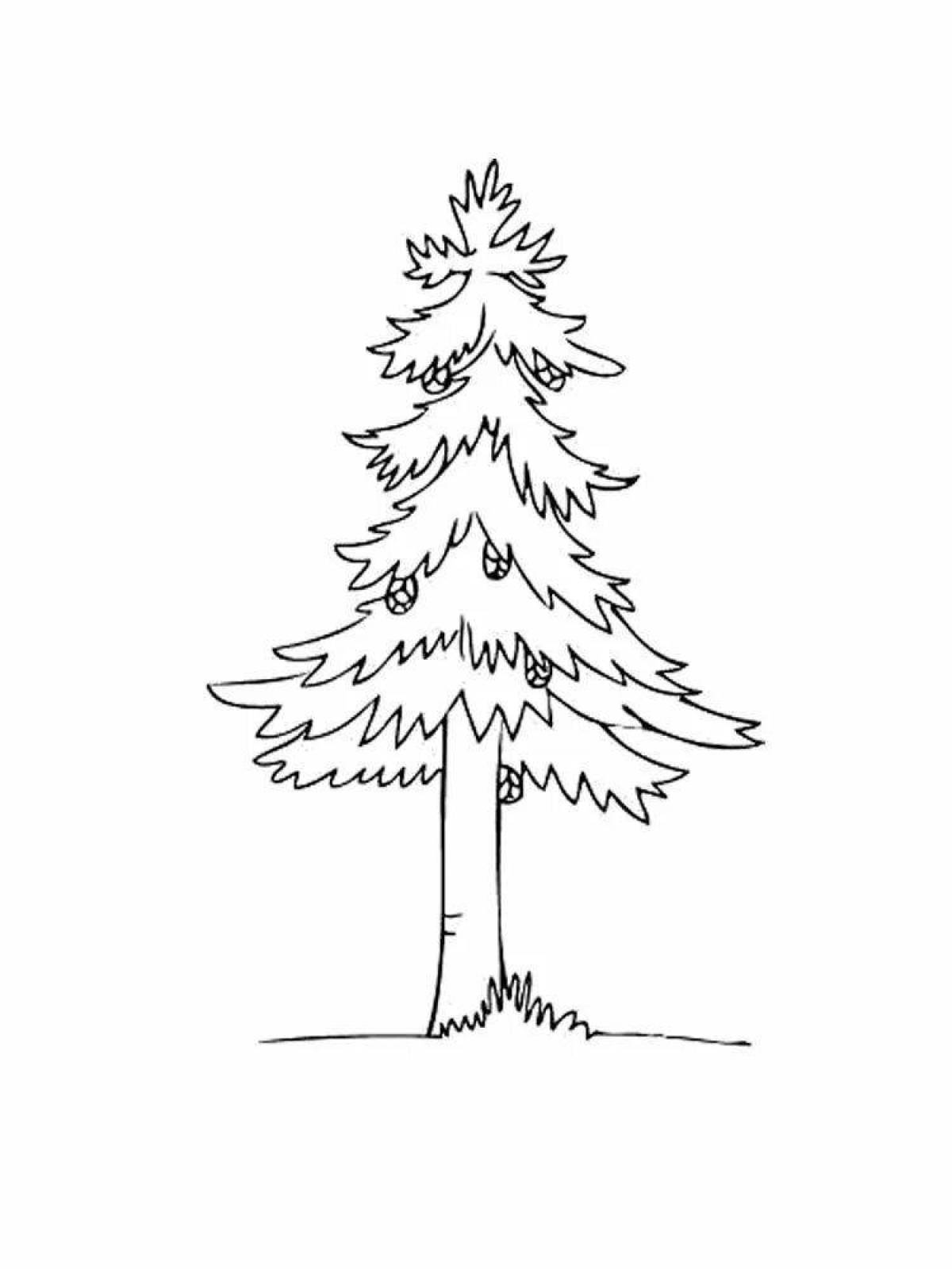 Colorful pine tree coloring page for kids