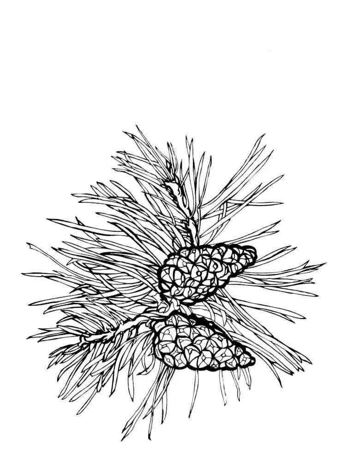 Coloring page joyful pine tree for children