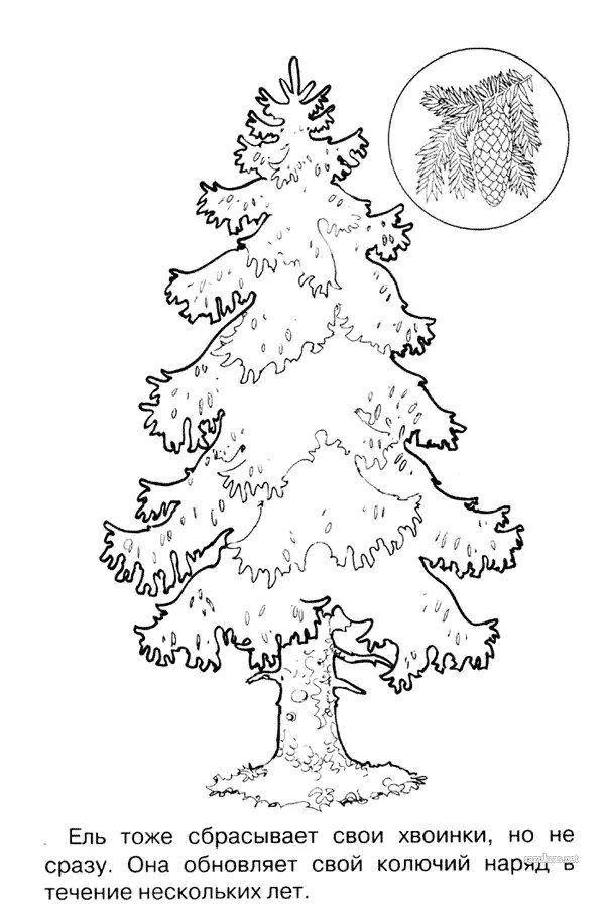 Exciting pine tree coloring book for kids