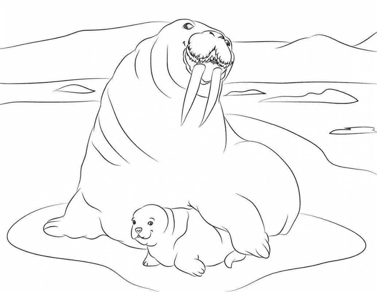 Colorful arctic animals coloring pages for kids