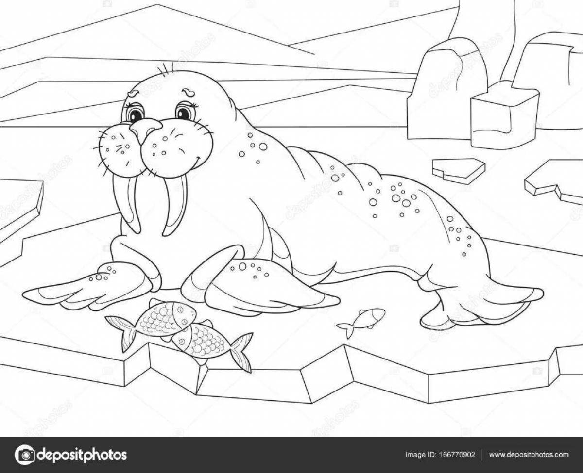 Funny arctic animals coloring pages for kids