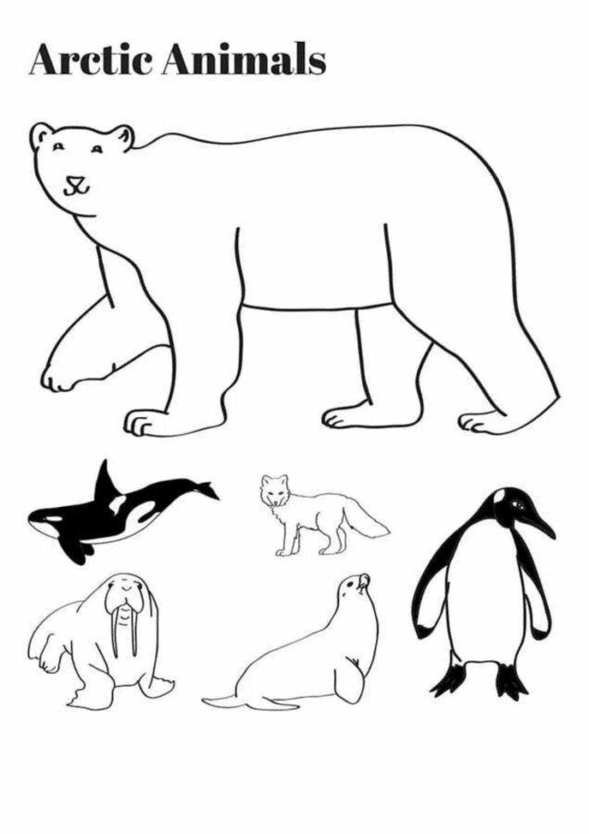 Amazing arctic animals coloring pages for kids