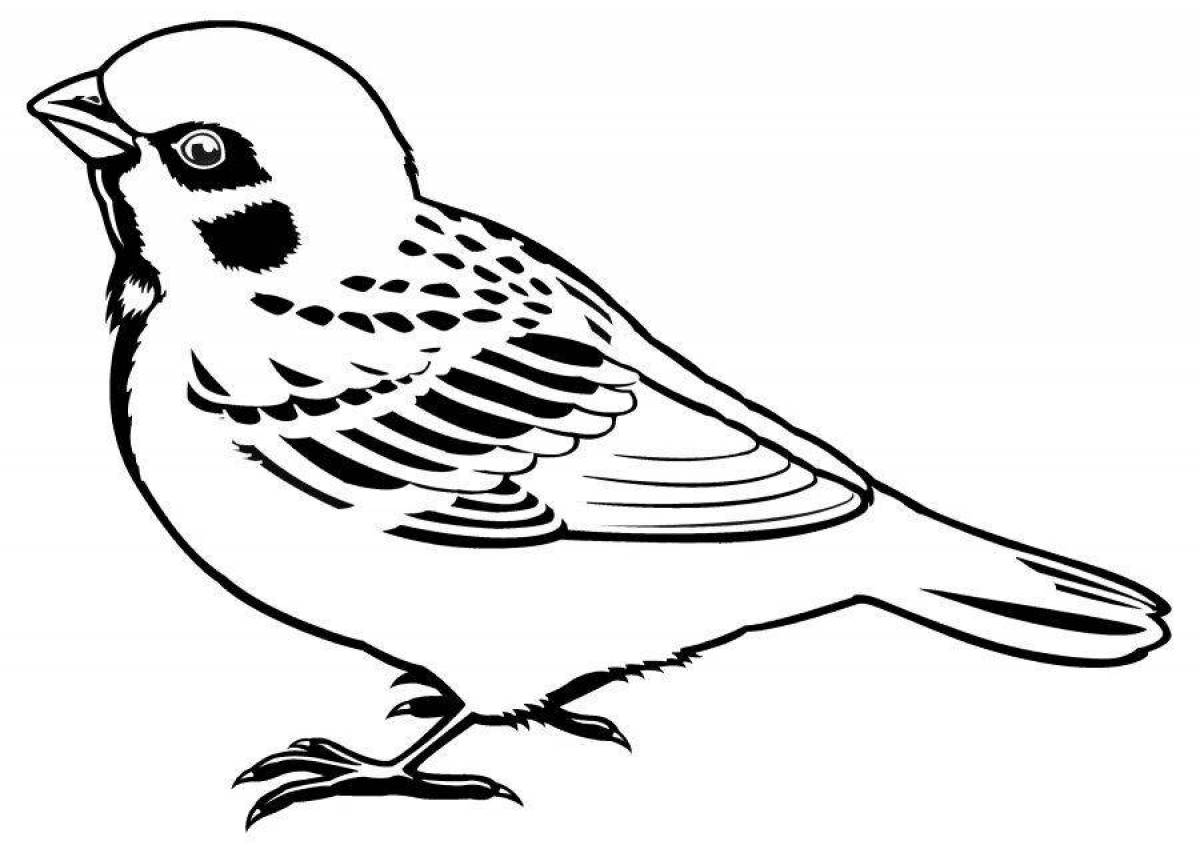 Children's tit coloring pages for kids