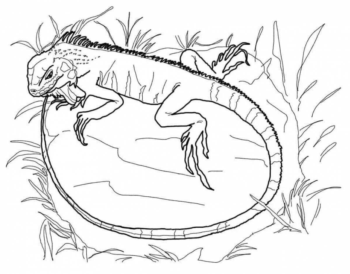 Playful iguana coloring page