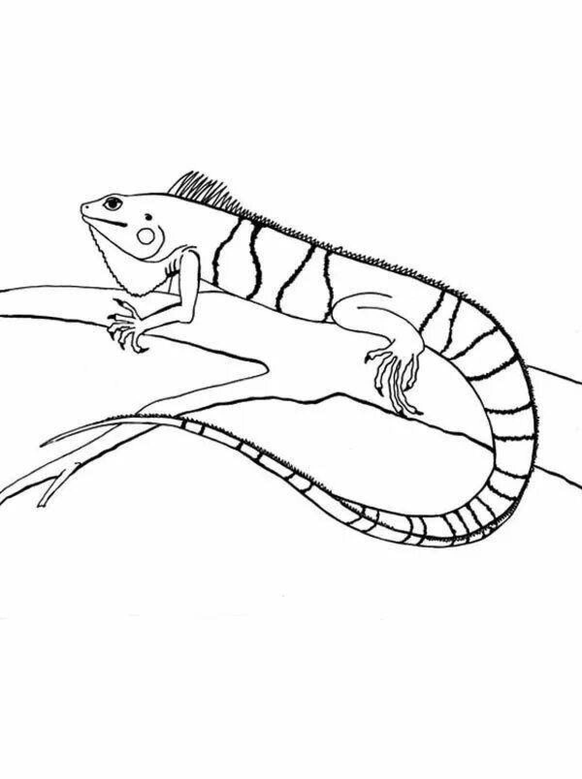 Joyful iguana coloring book
