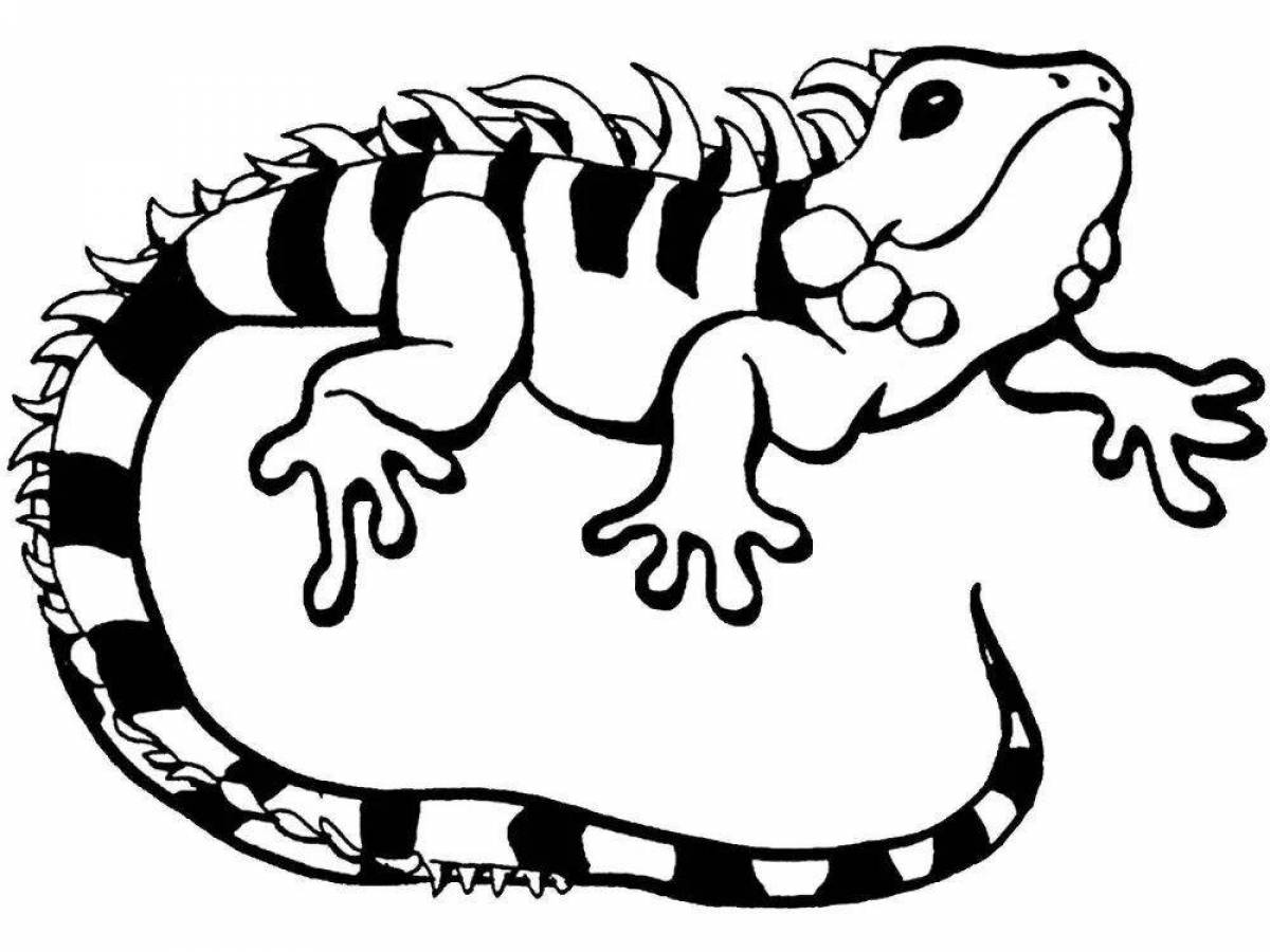 Humorous iguana coloring book