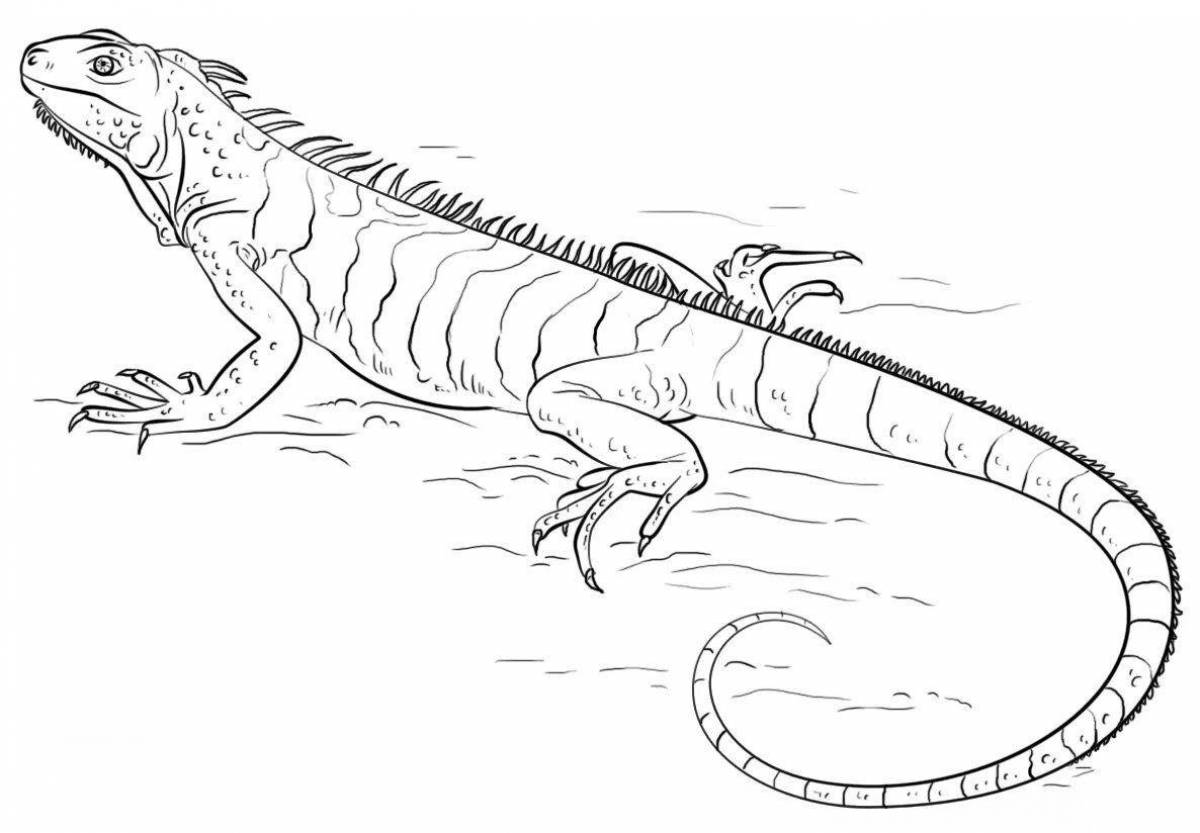 Funny iguana coloring page