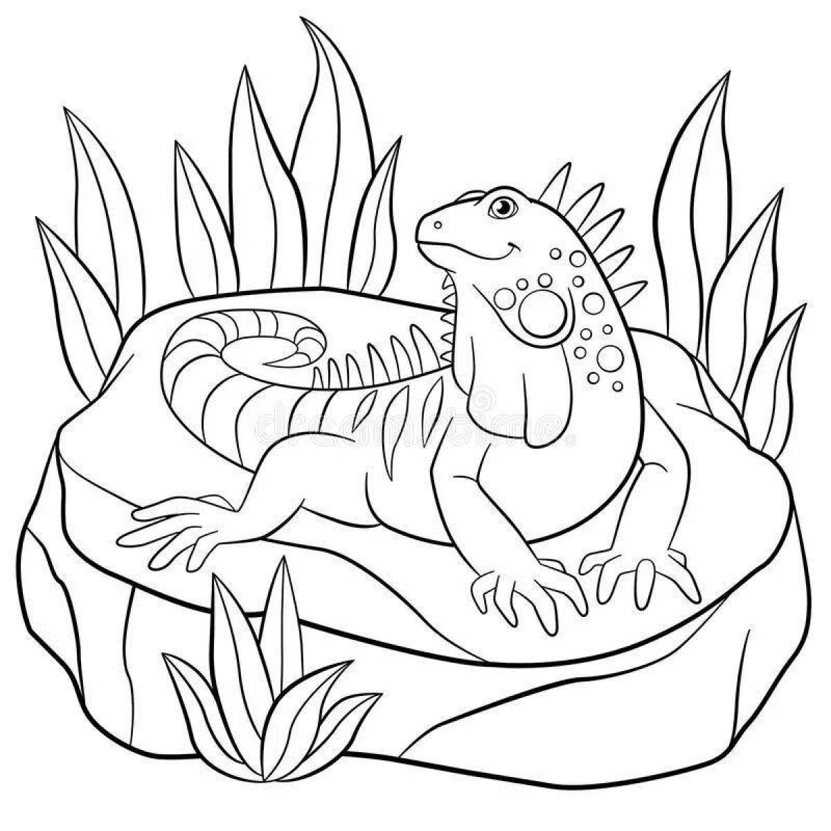 Zani iguana coloring page