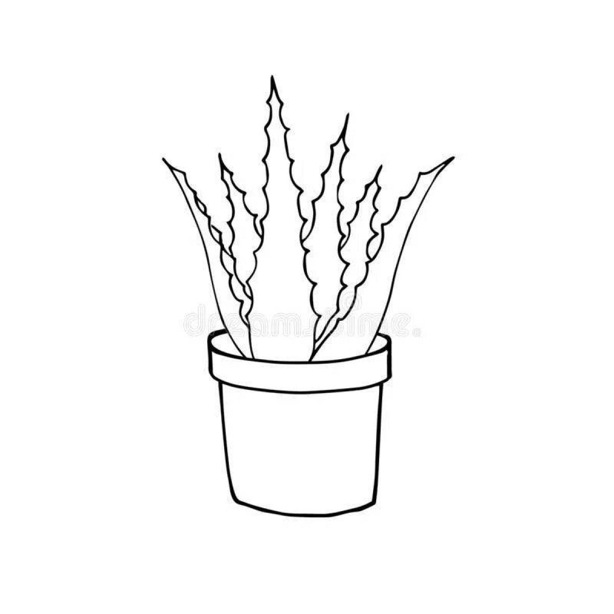 Colorful aloe coloring page
