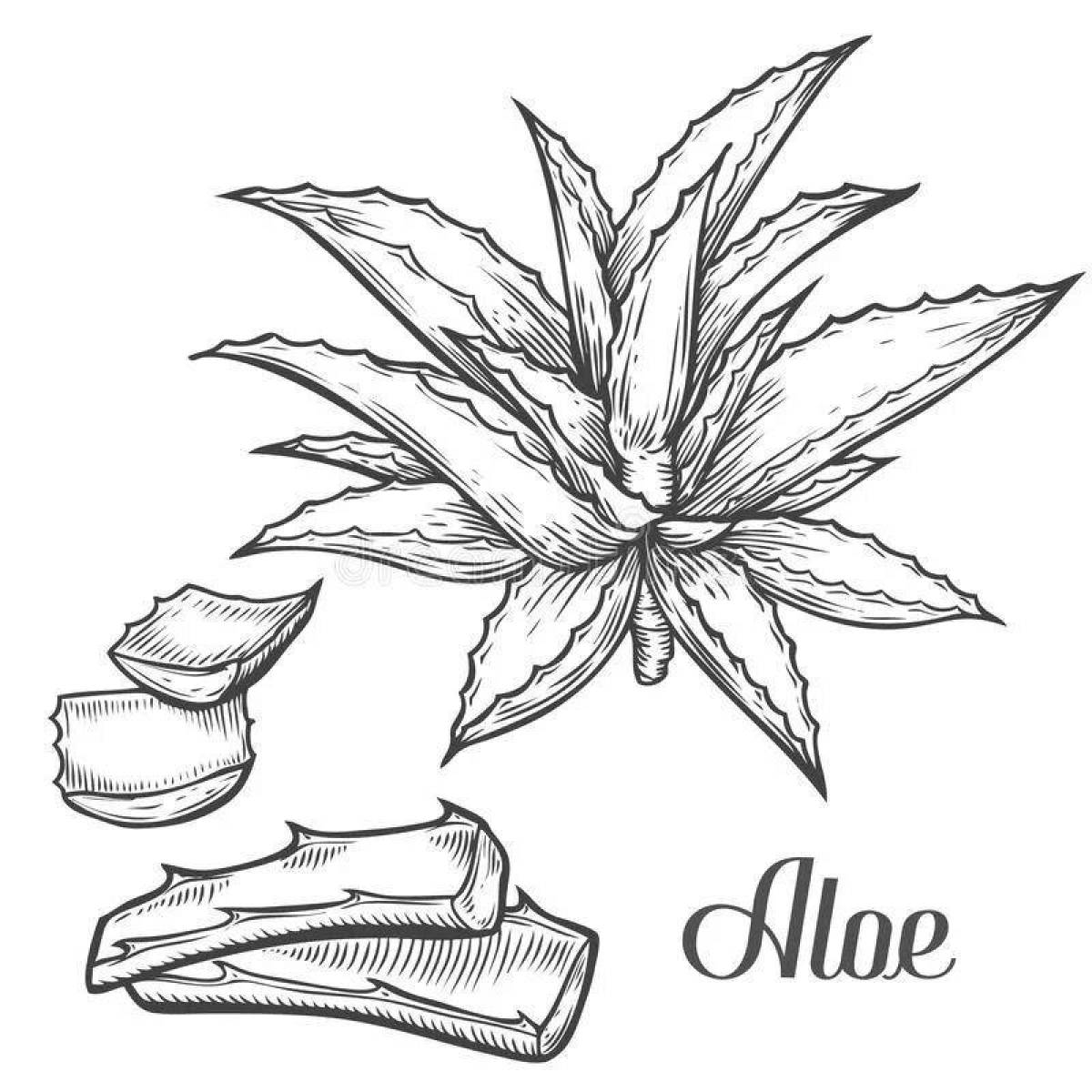 Playful aloe coloring page