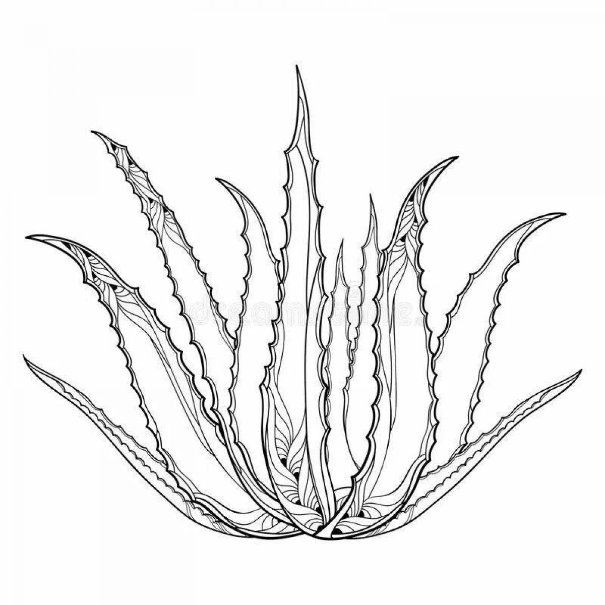 Aloe live coloring page