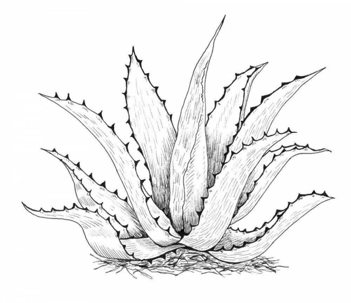 Glowing aloe coloring page