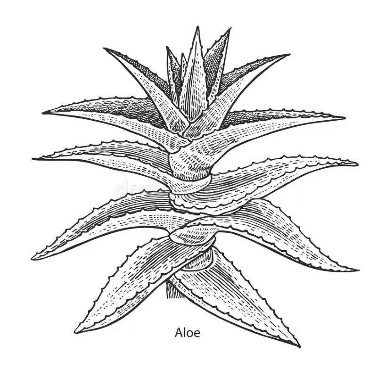 Aloe coloring invitation