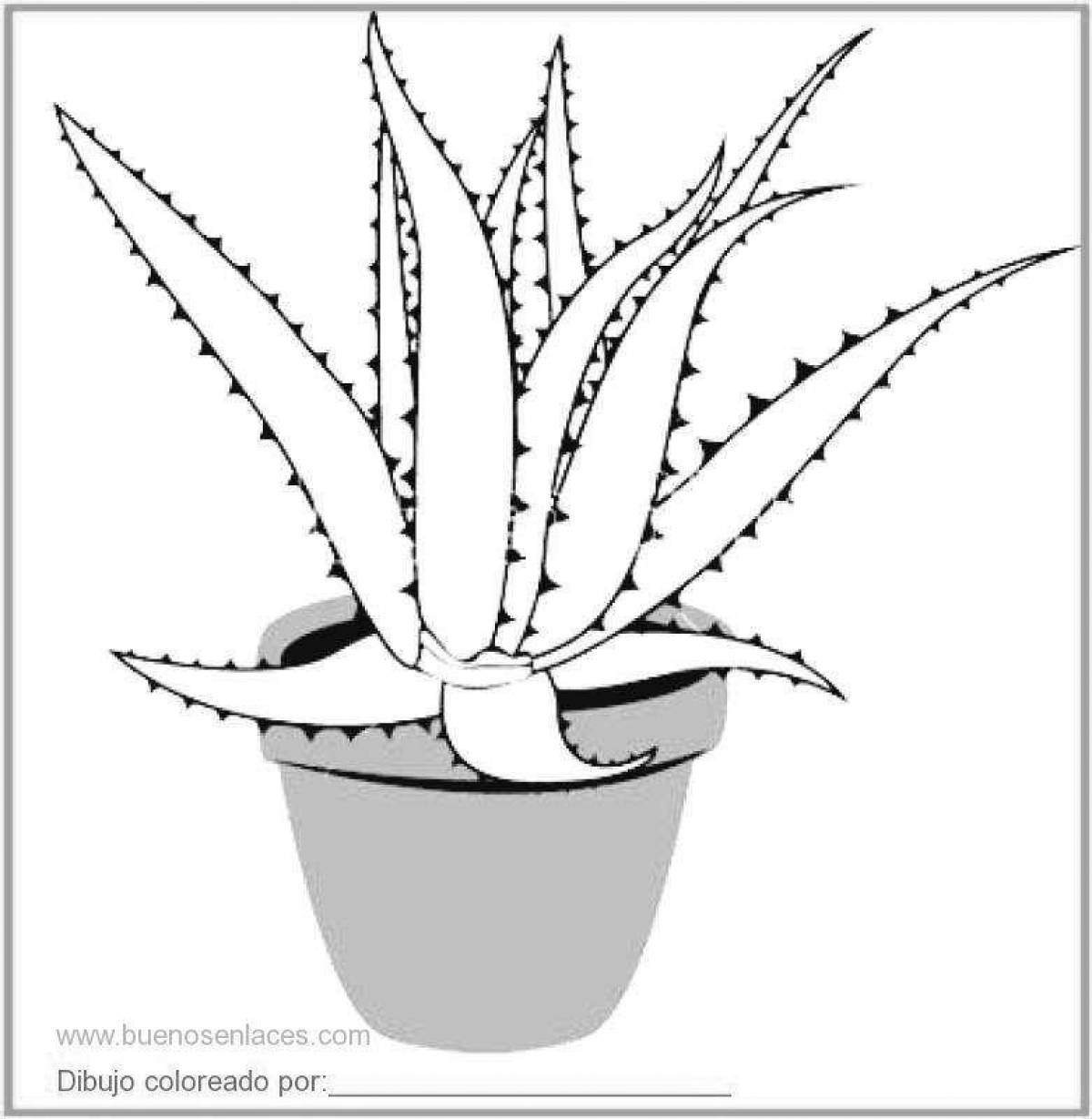 Mysterious aloe coloring page