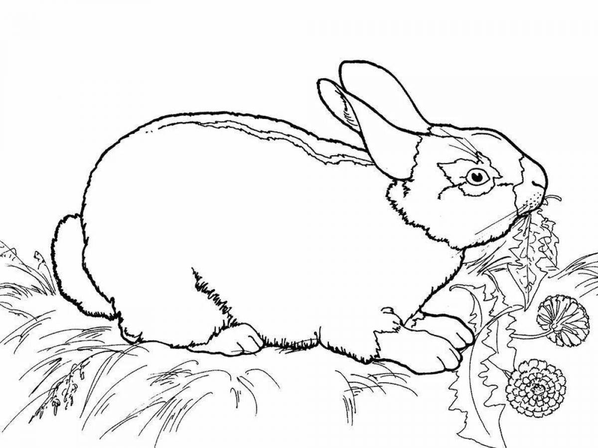 Радостная раскраска кролик изображение