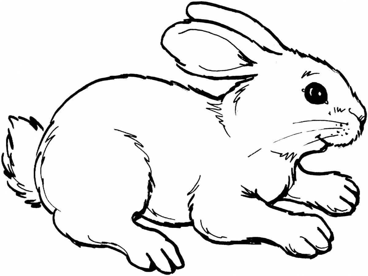 Adorable rabbit coloring picture