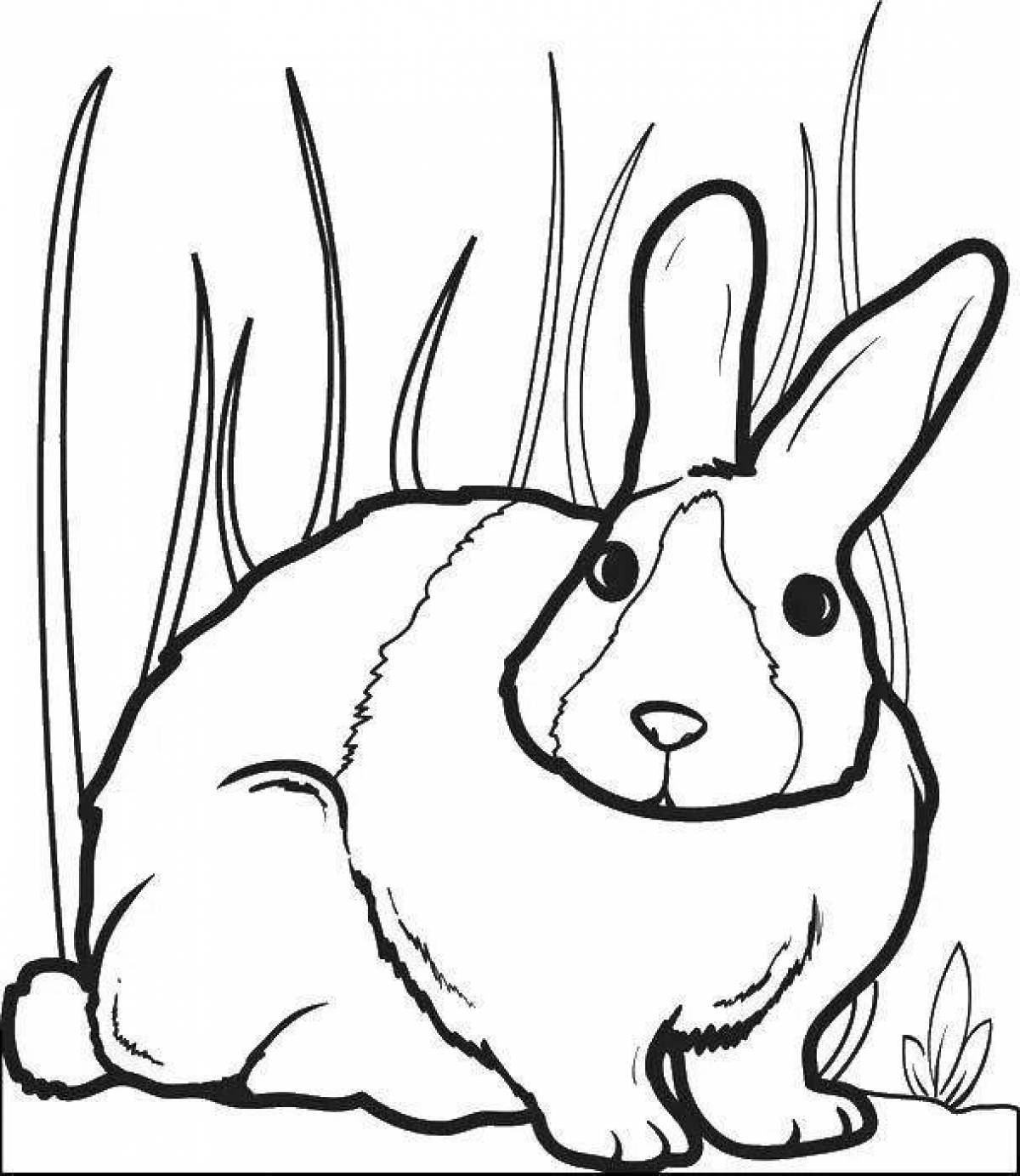Fuzzy coloring rabbit image