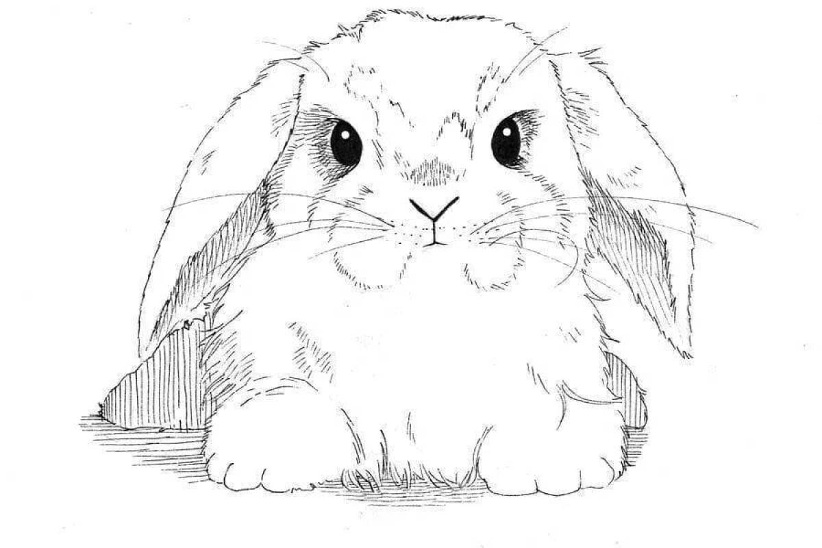 Пушистая раскраска кролик изображение