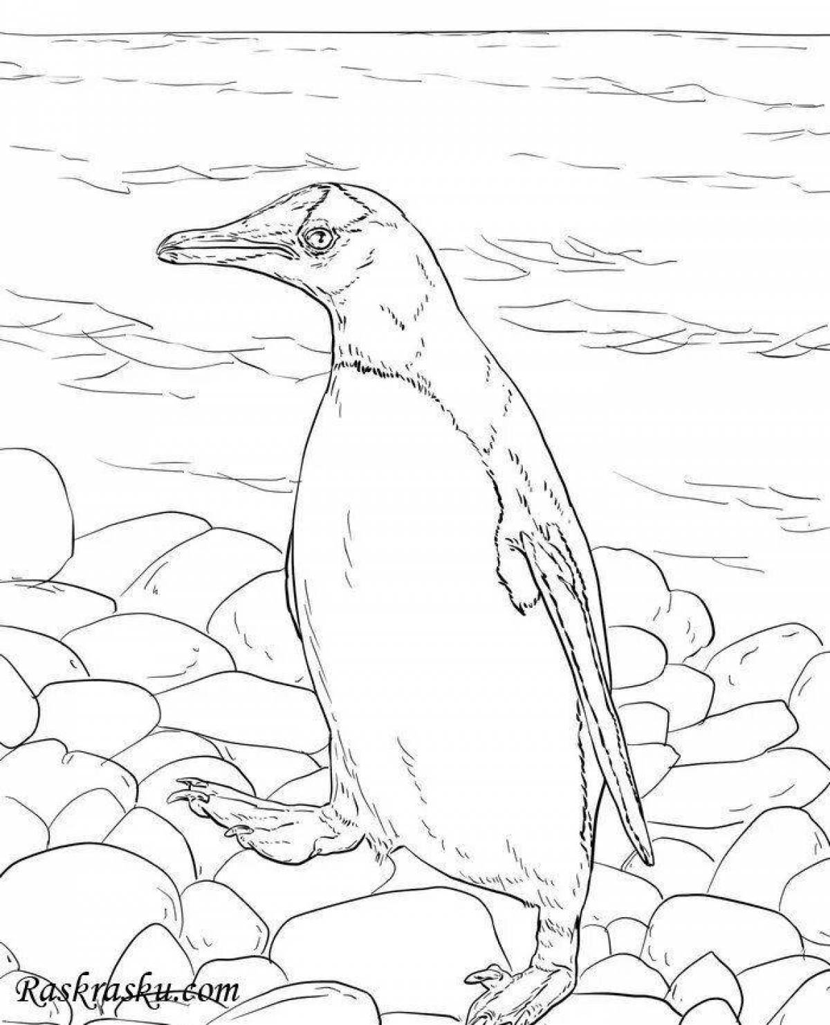 Coloring page majestic animals of antarctica