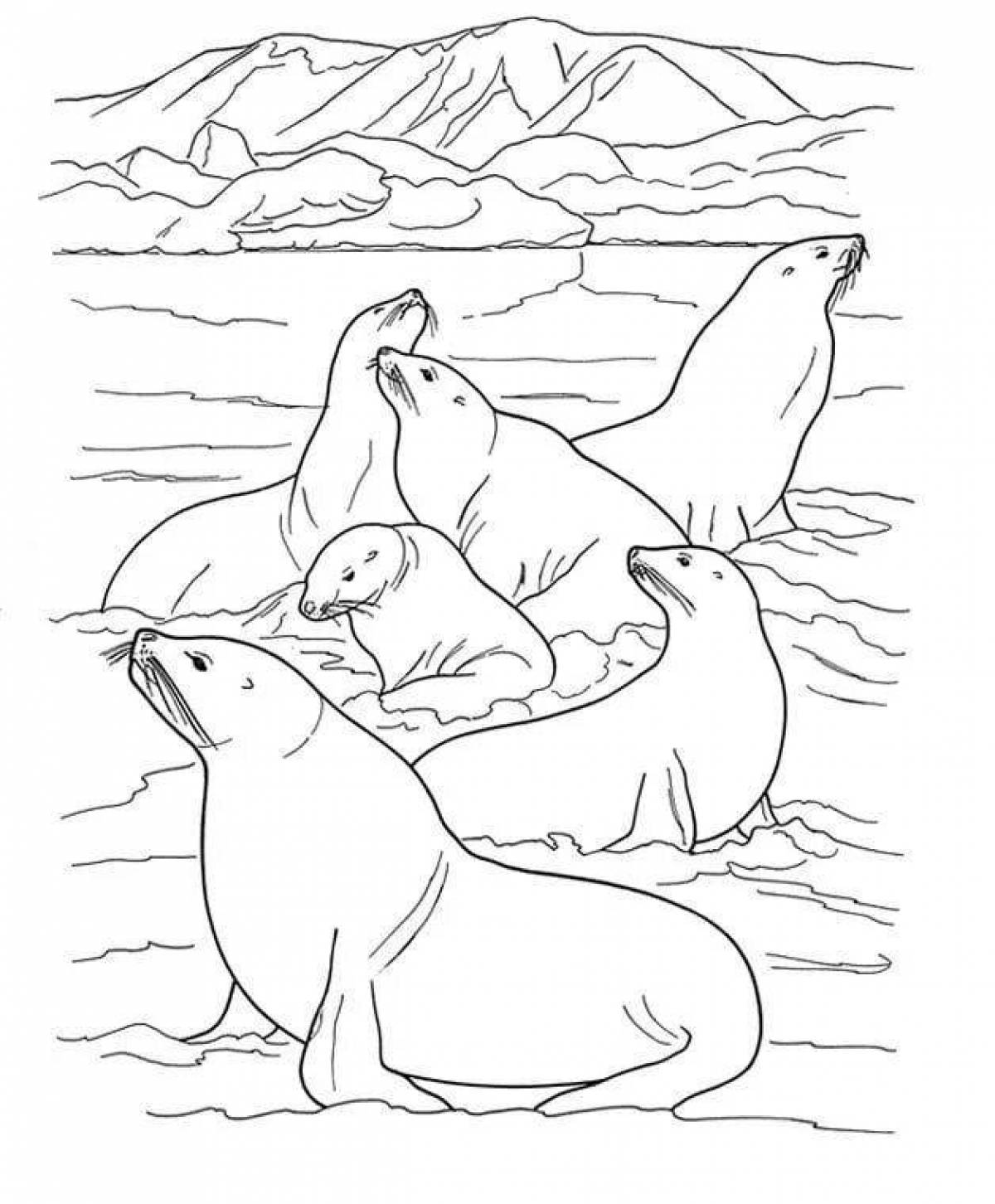 Adorable animals of Antarctica coloring page