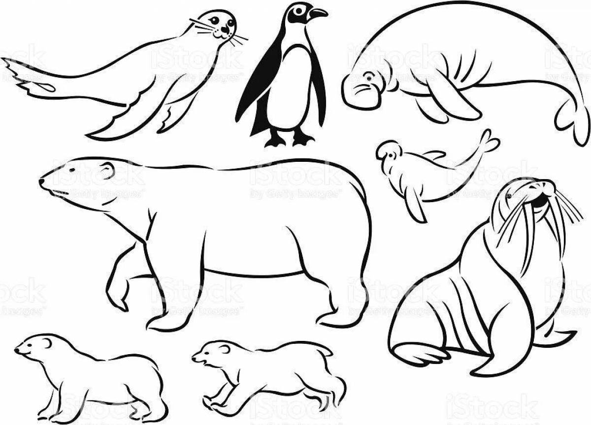 Coloring page magnificent animals of antarctica