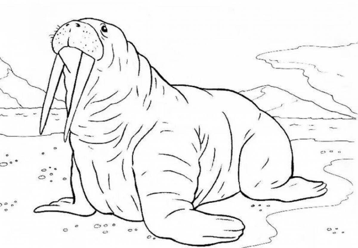 Antarctica's exquisite animals coloring book