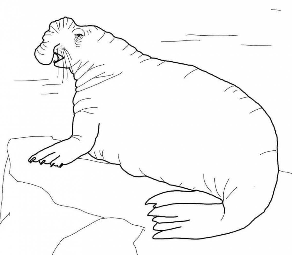 Раскраска игривые животные антарктиды