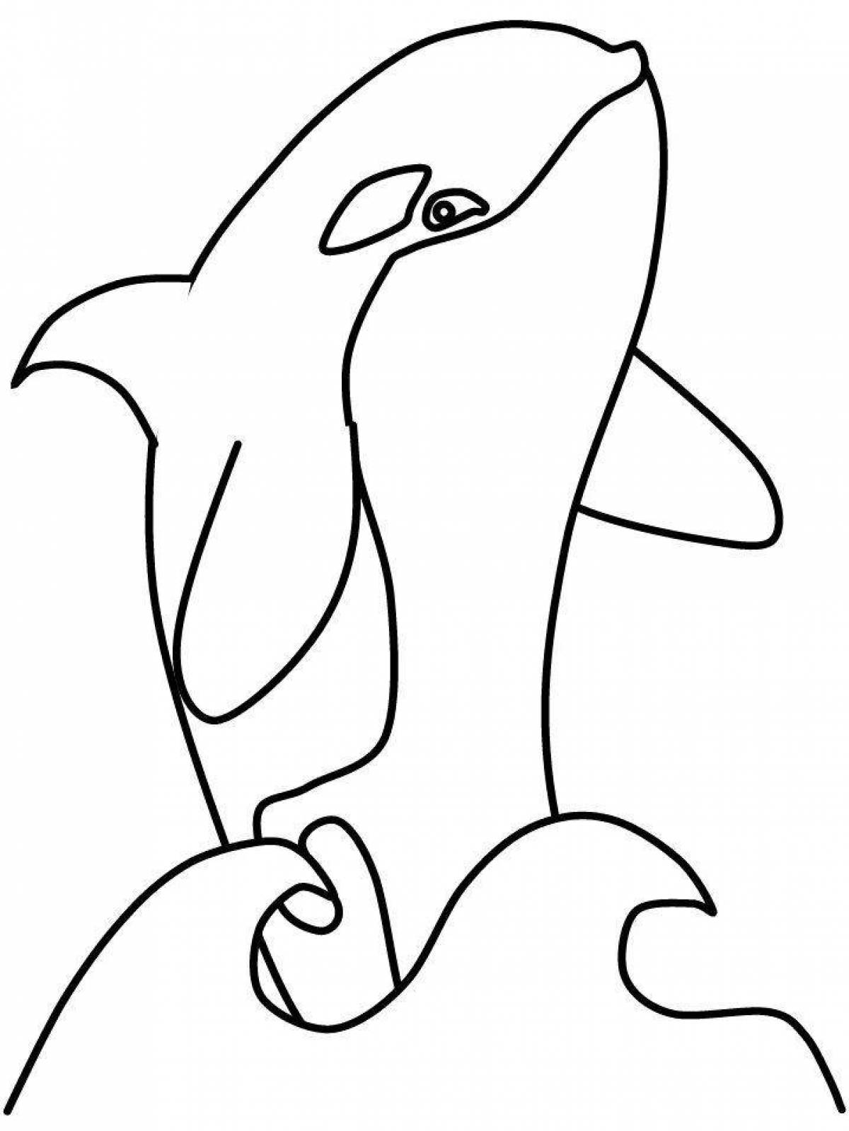 Colorful killer whale coloring page for kids
