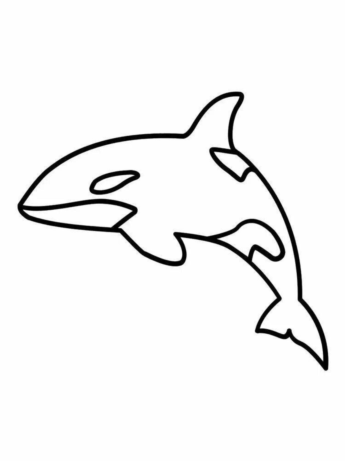 Colorful orca coloring book for kids