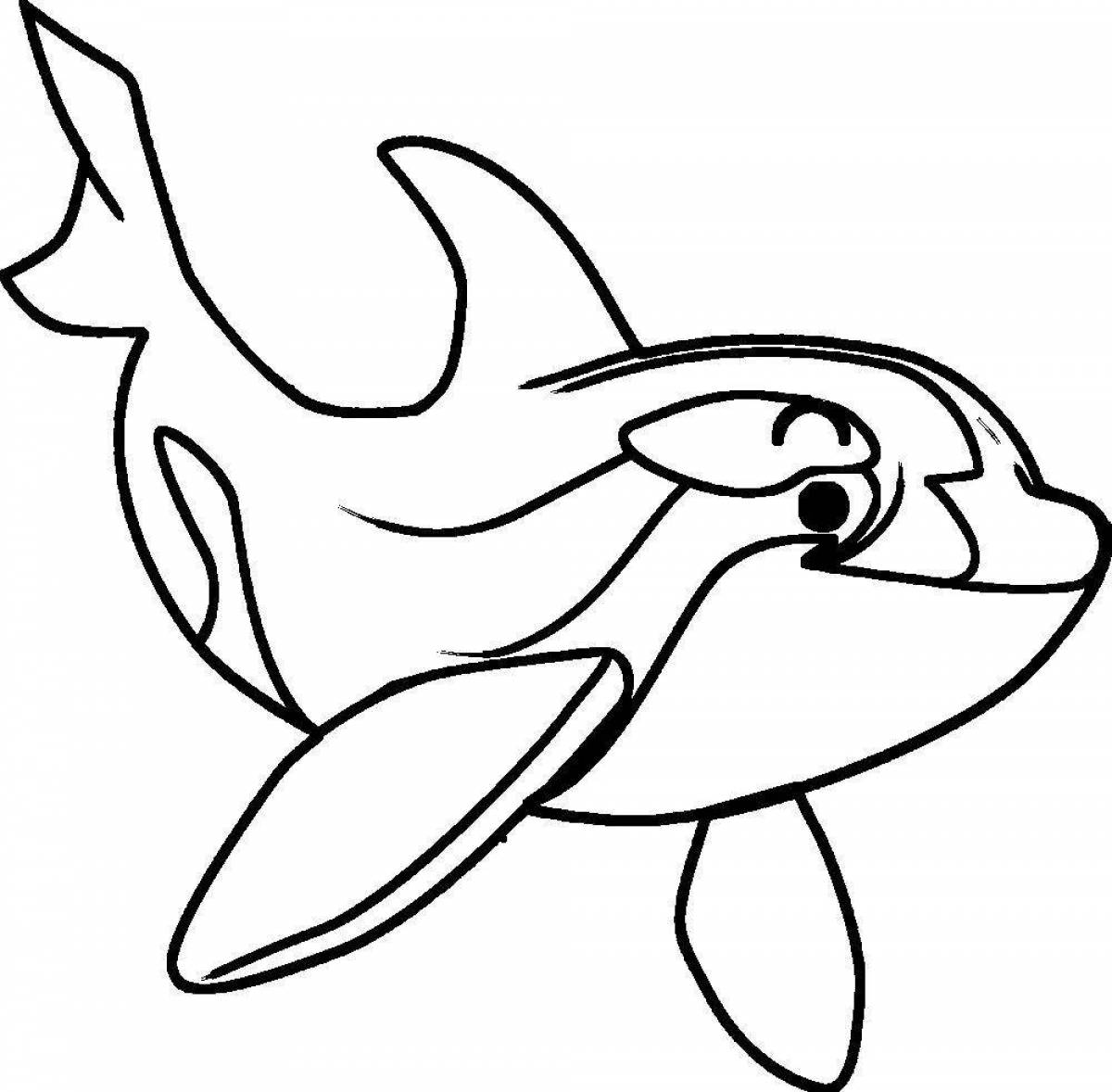 Funny killer whale coloring book for kids