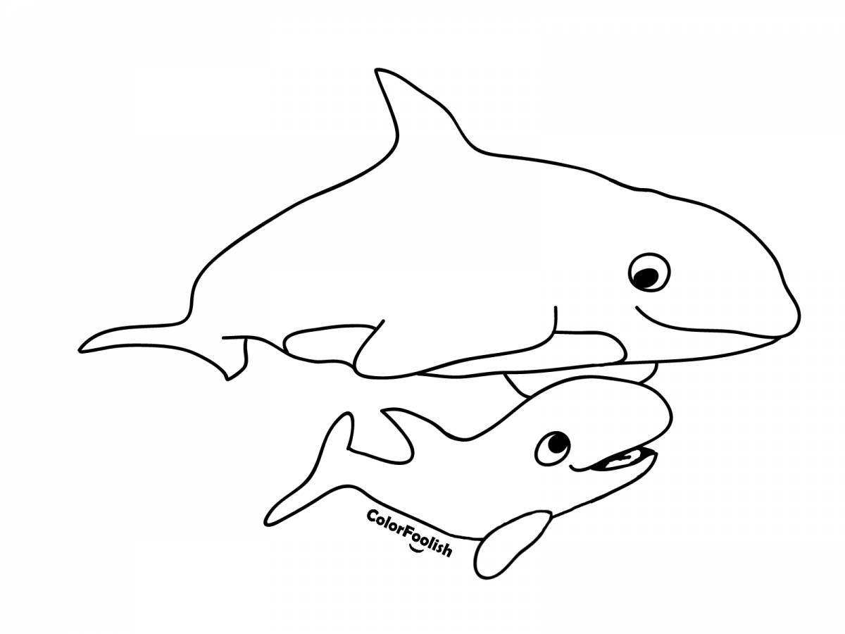 Funny killer whale coloring book for kids